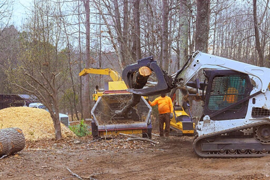 Tree stump completely removed and ground down in Lyndhurst, OH, residential yard