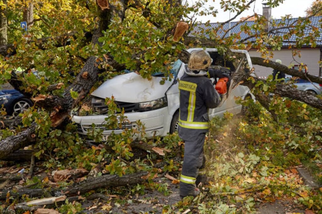 Emergency tree removal crew clearing fallen tree from damaged vehicle after storm in Lyndhurst, OH