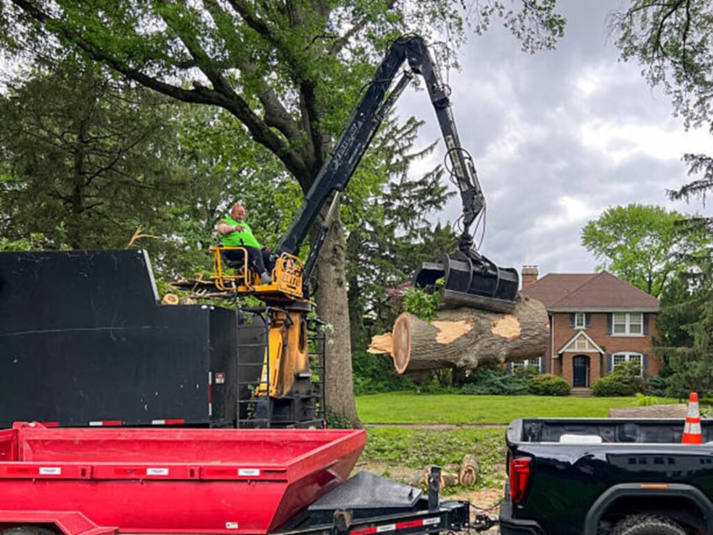 Crane removing a large tree trunk safely from a residential property in Lyndhurst, OH