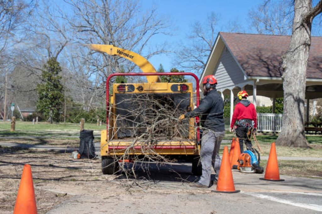 Tree service team loading branches into the wood chipper during a cleanup job in Lyndhurst, OH
