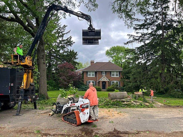 Tree service crew using a crane and equipment to remove large branches during tree trimming in Lyndhurst, OH