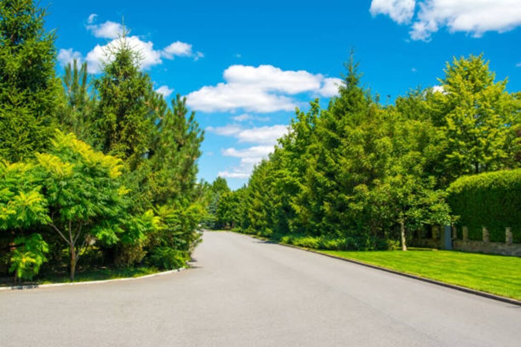 Residential neighborhood with maintained trees and landscaping in Lyndhurst, Ohio