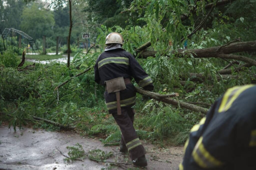 Tree service worker clearing storm debris and fallen branches from the roadway in Lyndhurst, OH