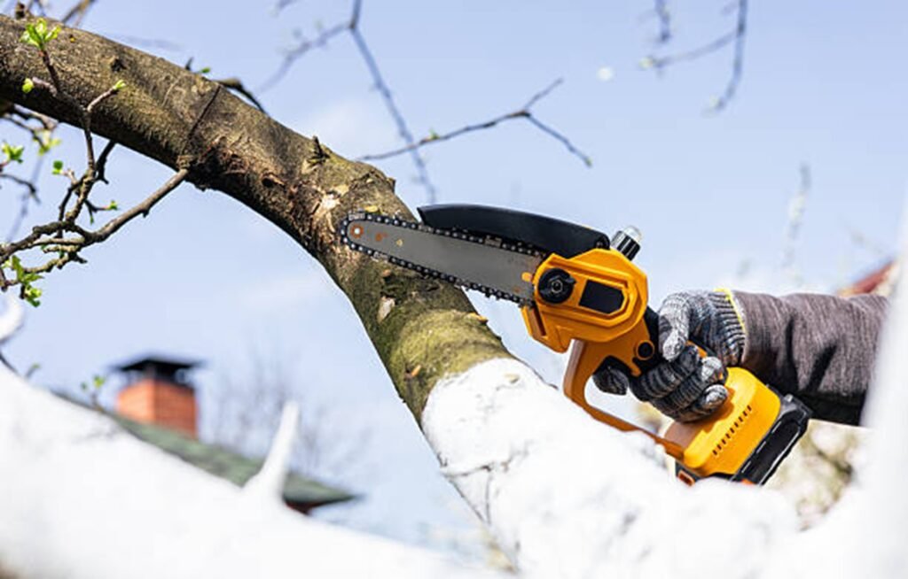 Tree trimming service cutting high branches using a power saw in Lyndhurst, OH