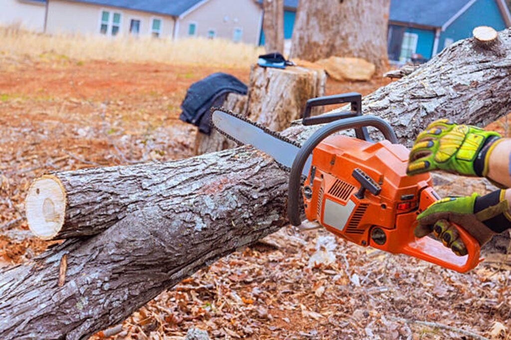 Chainsaw cutting a large tree trunk during a professional tree removal service in Lyndhurst, OH