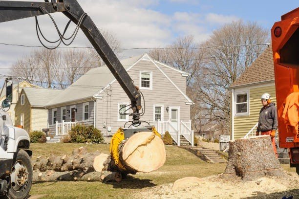 Crane lifting a heavy tree trunk during emergency tree removal service in Lyndhurst, OH