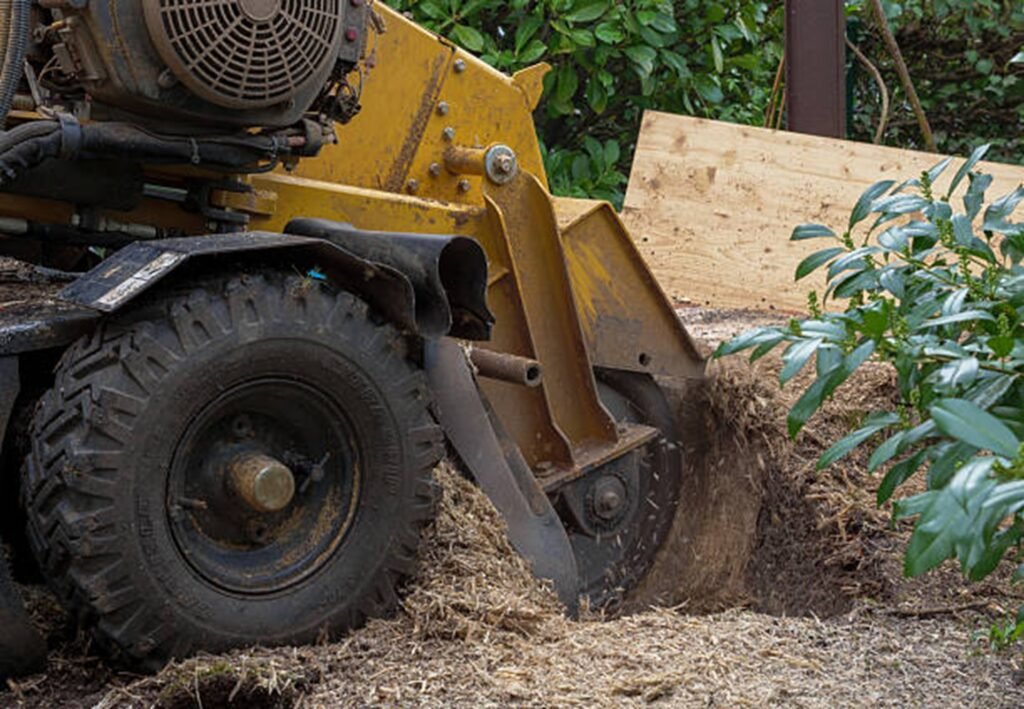 Professional stump grinding equipment removing a tree stump in Lyndhurst, OH