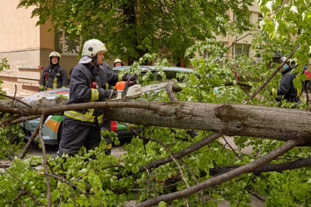 Emergency tree removal crew handling fallen tree and hazardous branches in Lyndhurst, OH