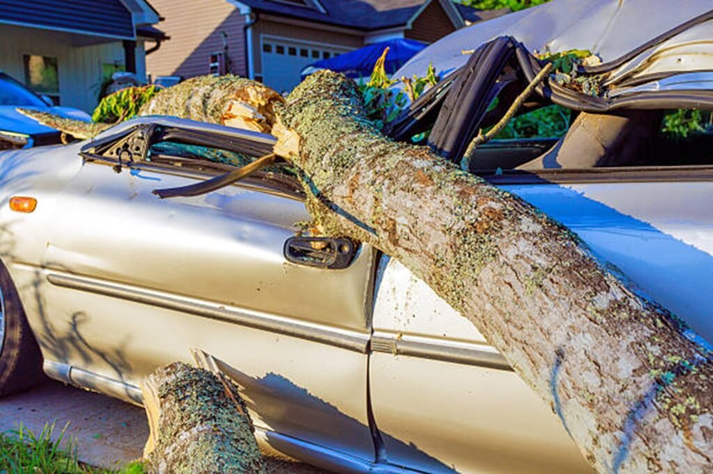 Storm damage cleanup, removing fallen trees and debris after severe weather in Lyndhurst, OH