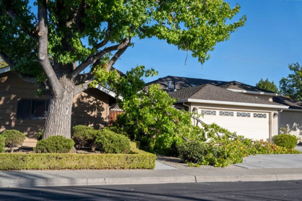 Fallen tree blocking driveway and damaging property during storm cleanup in Lyndhurst, OH